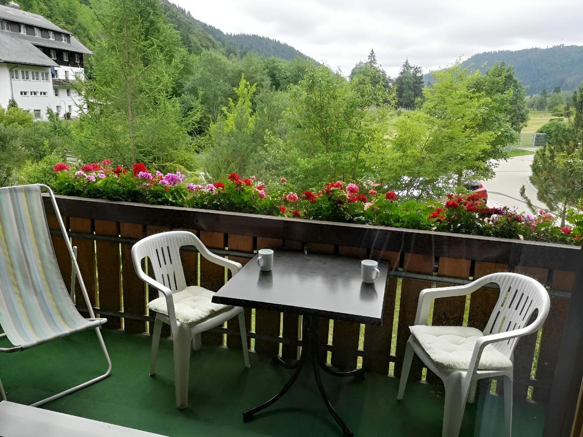 Naturidyll Am Fluss - Ferienhaus Albmatte - Grosser Garten Zum Grillen Und Entspannen-Direkt Neben Dem Radon Revitalbad Mit Sauna Und Thermalbecken Санкт Блазиен Екстериор снимка